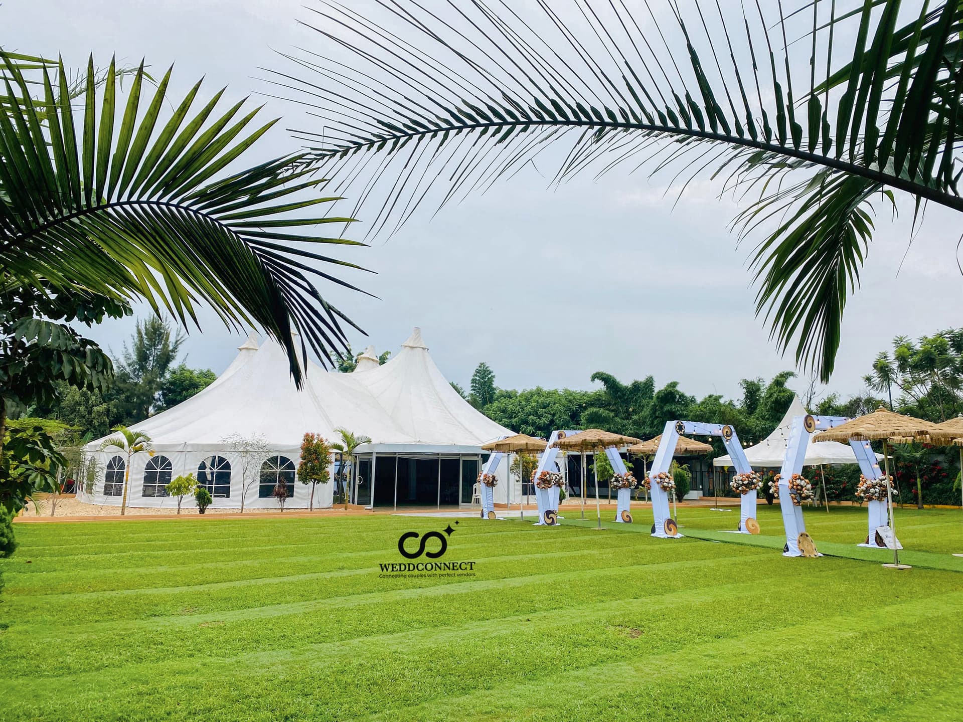 weddconnect-trends
